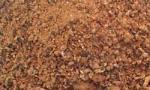 Cottonseed Meal