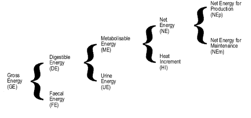 Process of energy breakdown