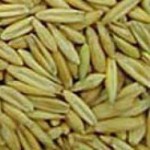 Oats