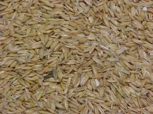 Whole Oats
