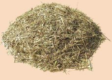 Meadow Hay