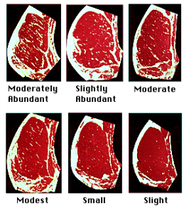 Abundance of Intramuscular Fat (Marbling)
