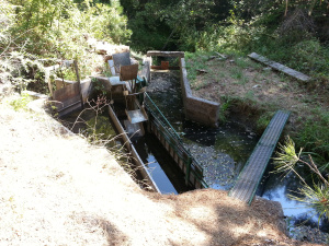 Our fishscreen and bypass, to prevent fish from going down our irrigation ditch.