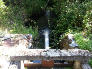 Bypass flows keep water in critical pools and meet the needs of the next priority water user.