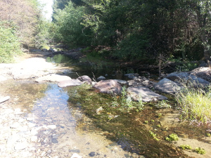 The creek will likely be dry in another two to three weeks.