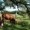 willowleastockfarm